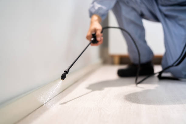 Licensed Rodent Control service in Keyes, CA - Nex Pest Control