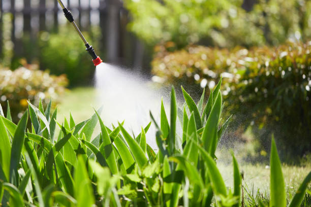 24/7 Emergency Rodent Control experts in Keyes, CA